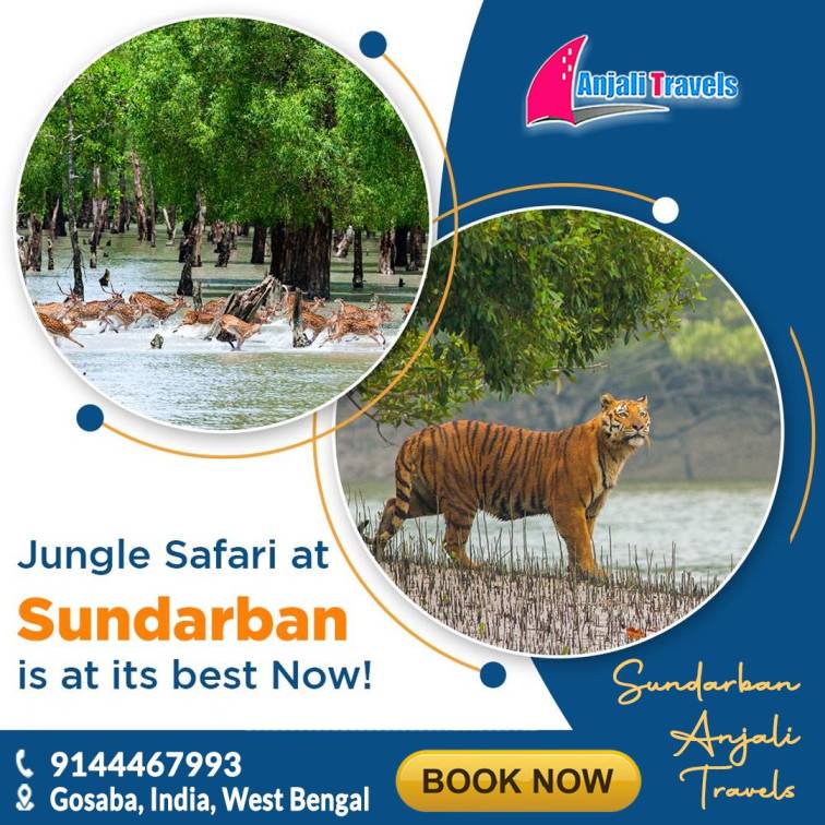 2 days 1night sundarban tour packages time capture this picture
