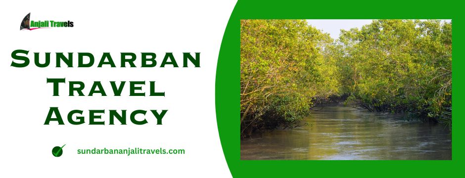 Sundarban Travel Agency | Sundarban Anjali Travel 