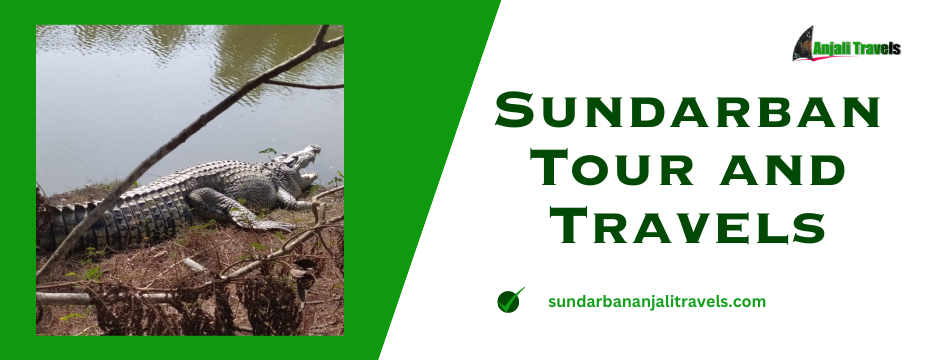 Sundarban Tour and Travels | Sundarban Anjali Travels