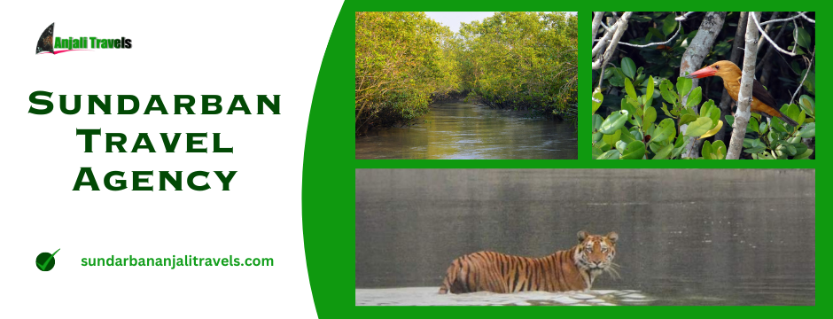 Sundarban Travel Agency | Sundarban Anjali Travels 