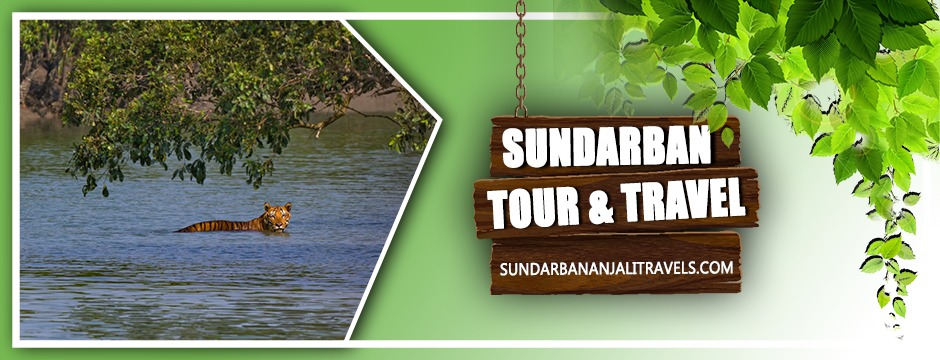 Sundarban Tour and Travel | Sundarban Anjali Travel | Sundarban Travel Agency