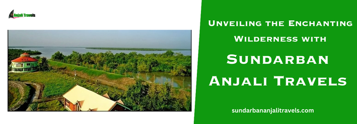 Sundarban Tour & Travels | Sundarban Anjali Travels | Sundarban Travel Agency