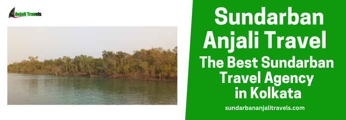 Sundarbans Tours and Travels | Sundarban Travel Agency | Sundarban Anjali Travels