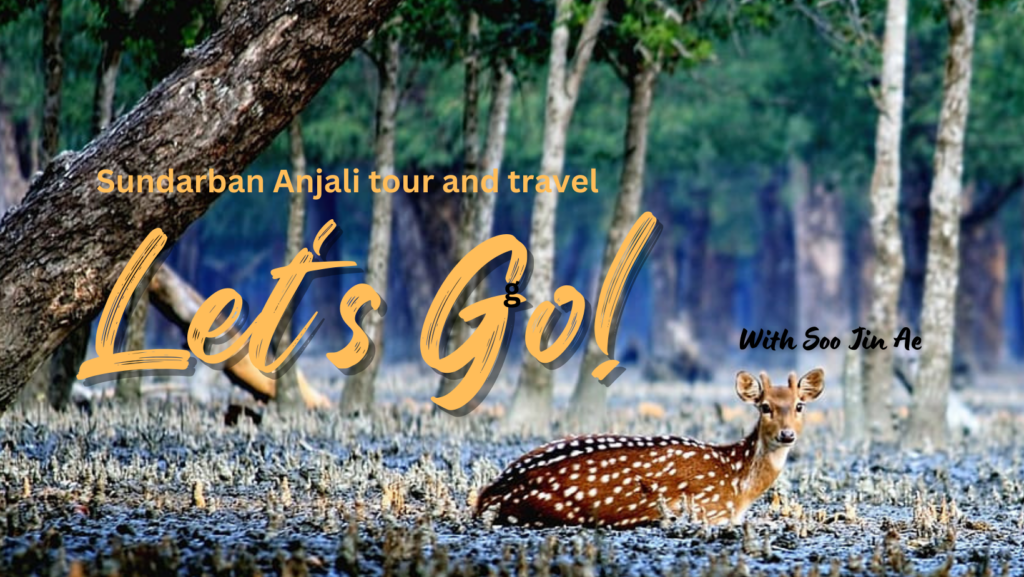 sundarban tour and travels